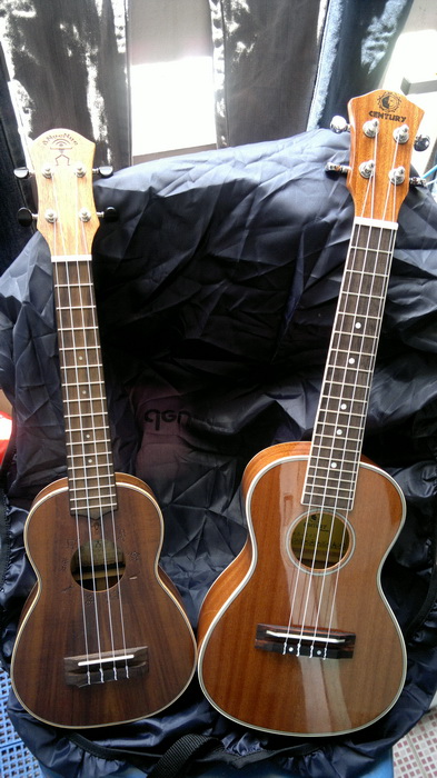 tenor ukulele ราคา มือสอง