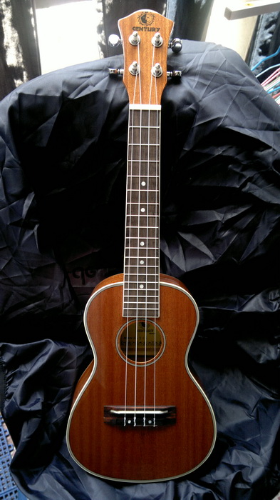 tenor ukulele ราคา strings